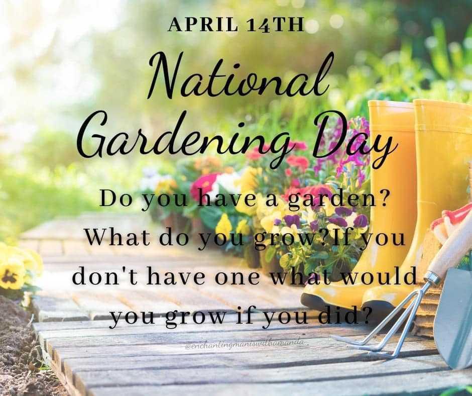 Hgtv Dream Home 2021 Winner Dies